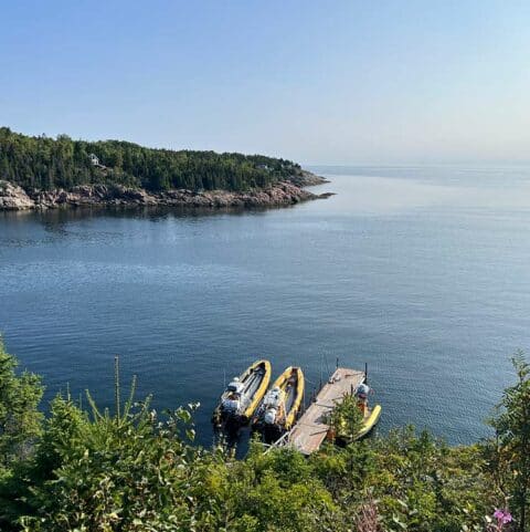 Observer Les Baleines à Tadoussac Au Québec | Gloobetrotteuse