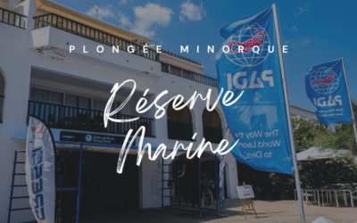 Plongée à Minorque avec le Diving Center Fornells