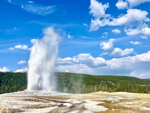 yellowstone geyser