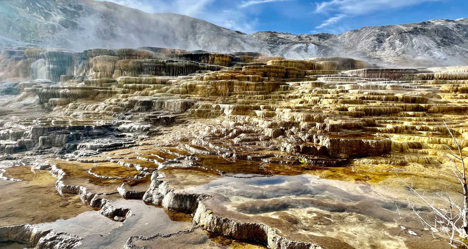 mammoth springs yellowstone