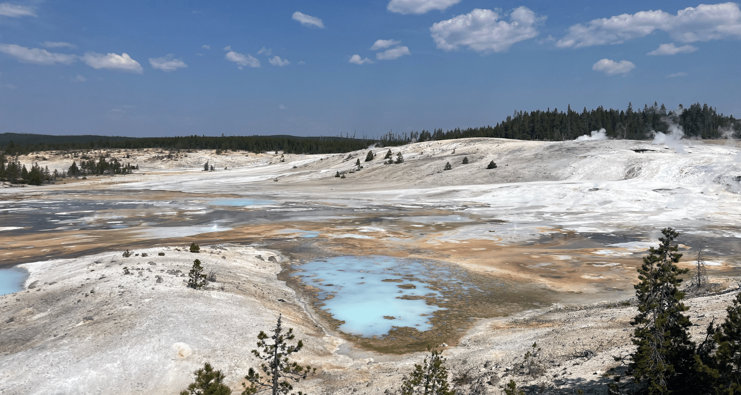 noris geyser yellowstone